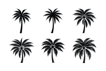 Obraz premium Palm Tree Bundle