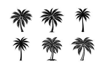 Fototapeta premium Palm Tree Bundle