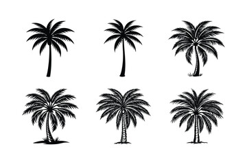 Palm Tree Bundle