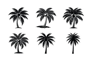 Palm Tree Bundle