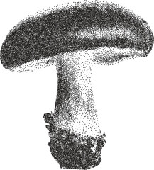 Mushroom retro y2k stipple design trippy halftone brutalist urban vector png with clear background, fungi 2000s photocopy grunge tattoo gen z effect © FutureFFX