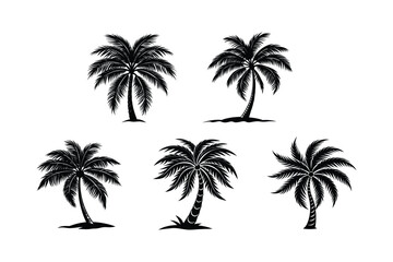 Palm Tree Bundle