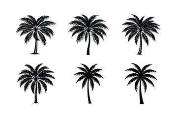 Obraz premium Palm Tree Bundle