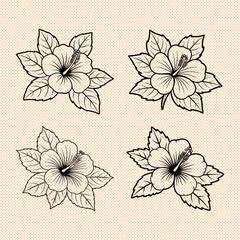 Four outline drawings of hibiscus flowers with leaves on a checkered background illustration