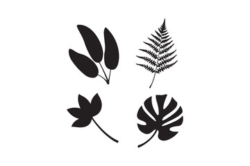 Collection of four hand drawn botanical leaf silhouettes on white background