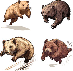 The Wombat is being an athlete running and jumping vector style on white background