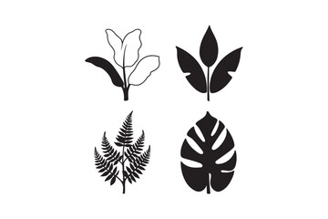 Four different types of botanical leaves illustrated in black and white
