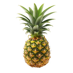 Single pineapple, vibrant green leaves, and a yellow-gold rind