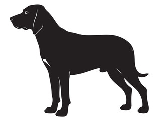 COONHOUND DOG SILHOUETTE