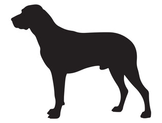 COONHOUND DOG SILHOUETTE