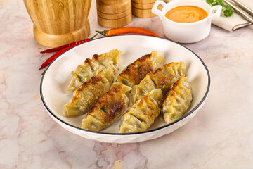 Japanese fried Gyoza stuffed dumplings