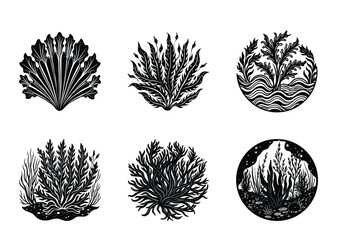 Set of Six Different Black and White Seaweed and Kelp Designs
