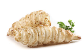 Unique meal platter featuring ground silkworms alongside ganoderma, showcasing an unusual culinary experience