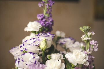 Beautiful bouquet of white flowers with purple edges and pastel carnations. Close-up shot of a vibrant bouquet of white flowers with purple edges, complemented by delicate purple and white carnations.
