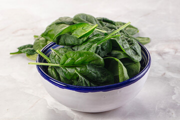 Raw green baby spinach plant