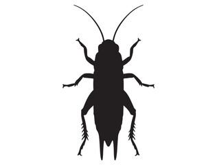 CRICKET INSECT SILHOUETTE