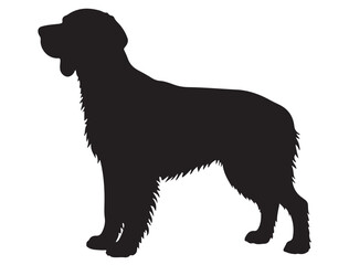  ENGLISH SPRINGER DOG SILHOUETTE