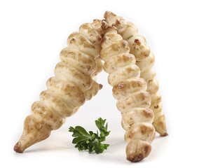 Fresh bullockweed stonewort screwpods arranged in a natural display perfect for culinary use or decorative purposes