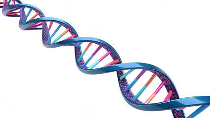dna helix on white background
