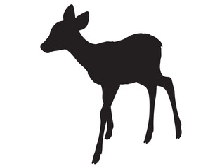  FAWN SILHOUETTE