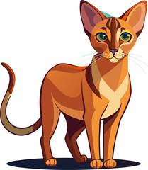 Abyssinian cat