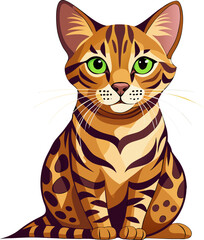 Bengal cat