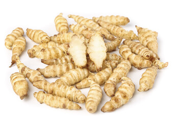 Dietary benefits of Ganoderma and earth cow silkworms in holistic nutrition practices