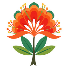  indian coral tree flower on white background