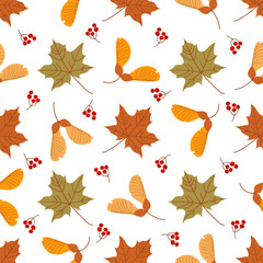 Seamless pattern of autumn leaves on a white background. Vector illustration.