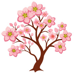  yoshino cherry  vector on white background