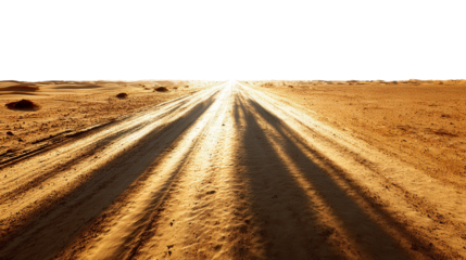 Desert Road with Long Shadows background isolated on a Transparent background, PNG file.