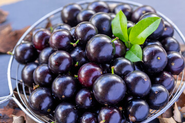 Exotic and delicious fresh Jaboticaba fruits, a fruit of Amazonian origin