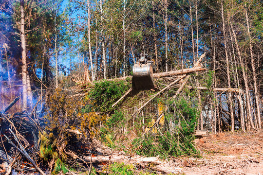 A machine lifts fallen branches as workers clear a forest area on a bright day, enhancing land accessibility.