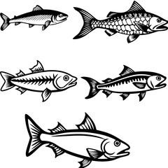Fototapeta premium This black and white illustration showcases a diverse selection of fish species, rendered in a vintage style fish vector art design
