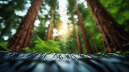 Fototapeta premium Forest Stream, Blurred Trees, Sunlight, Nature Photography, Nature, Landscape