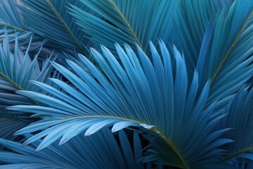 Fototapeta premium Blue tropical palm leaves close-up in natural pattern