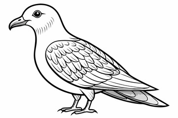 coloring page line art the petrel black vector