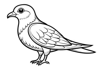 coloring page line art the petrel black vector