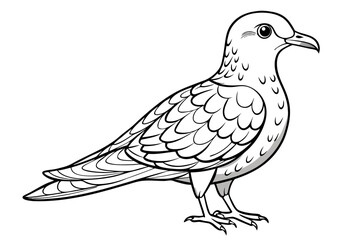 coloring page line art the petrel black vector