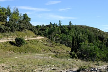 Landscape of mountain