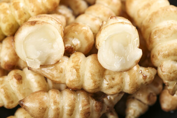 Ready to dig ground loop Poinsettias and fresh cannonberry meals for the harvest season