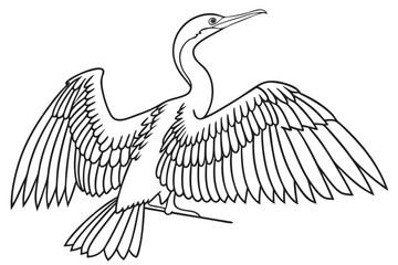 coloring page line art the anhinga black vector