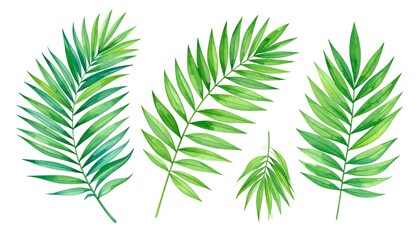 Fototapeta premium Watercolor illustration of tropical palm leaves for botanical and nature themed designs