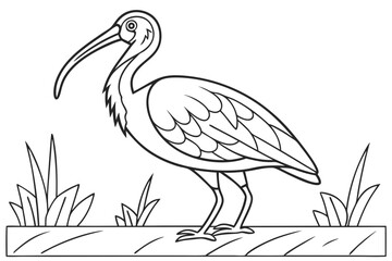 coloring page line art the ibis black vector