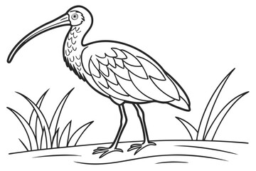 Fototapeta premium coloring page line art the ibis black vector