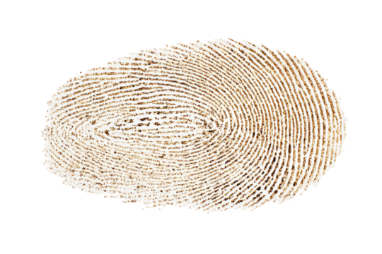 Close-up of a light brown fingerprint.  Oval shape, detailed ridges