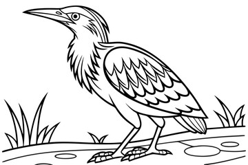 coloring page line art the bittern black vector