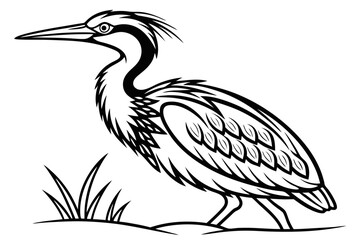 coloring page line art the bittern black vector