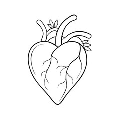 Human heart with veins in monochrome drawing for Yom Kippur designs, a heart shaped design element. Anatomical human heart with leaf details and vessels, stylized drawing.