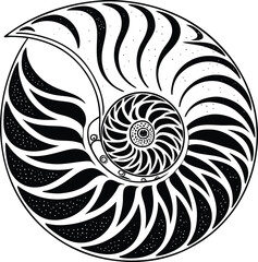 Stylized Nautilus Shell Illustration Black and White Geometric Pattern Decorative Circular Design Elegant Marine Life Inspired Artwork